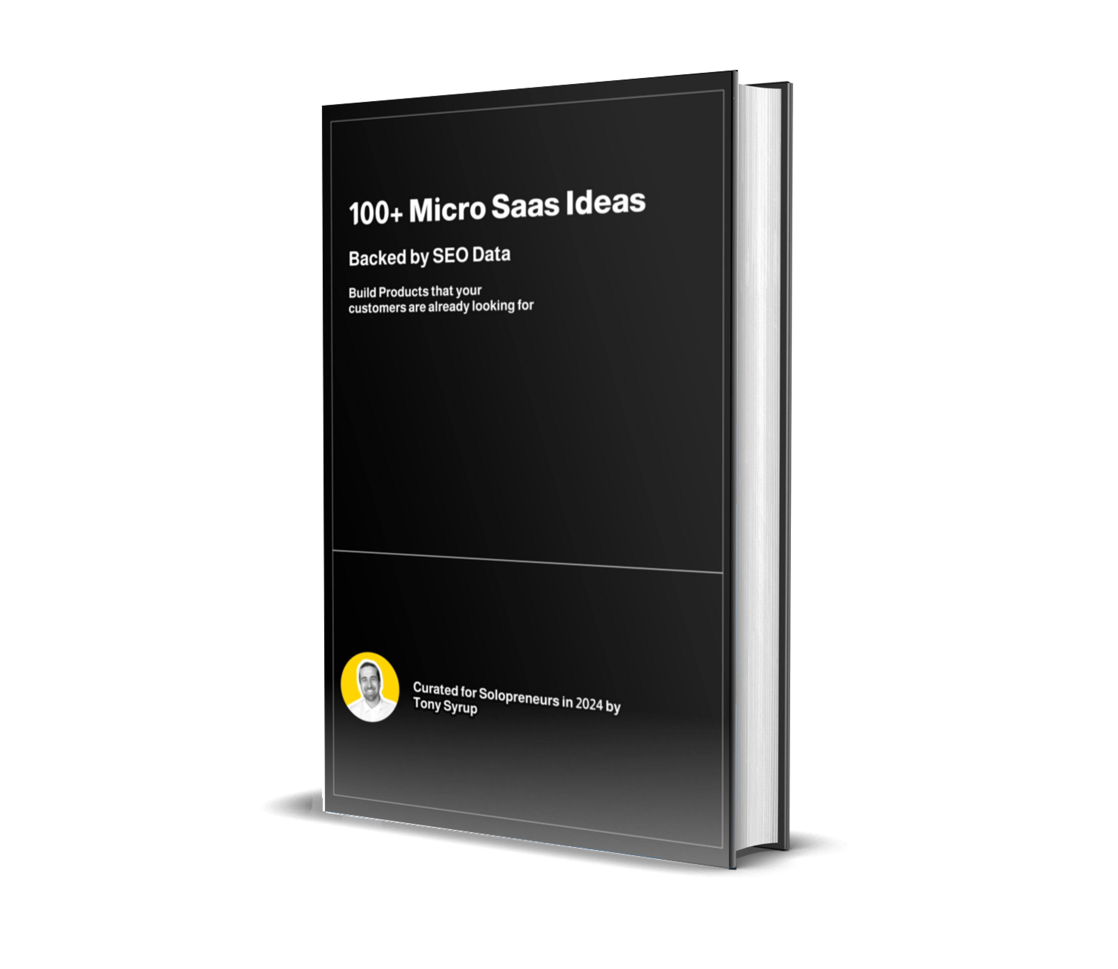 100 Micro Saas Ideas Collection